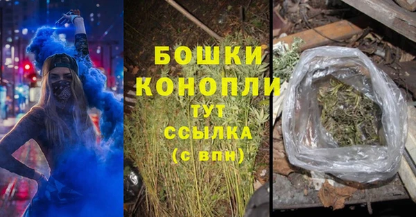 ГАЛЛЮЦИНОГЕННЫЕ ГРИБЫ Богданович