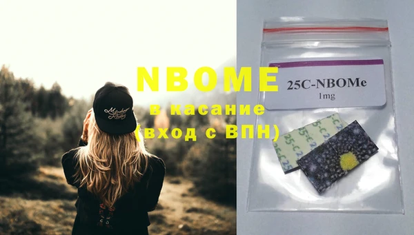 ГАЛЛЮЦИНОГЕННЫЕ ГРИБЫ Богданович