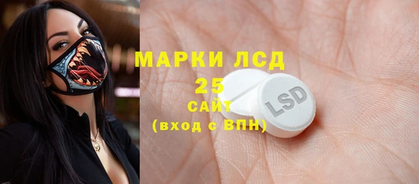 ГАЛЛЮЦИНОГЕННЫЕ ГРИБЫ Богданович