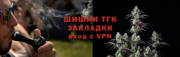 прущая мука Богородицк