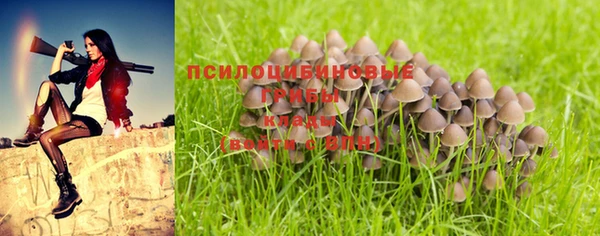 ешки Богородск