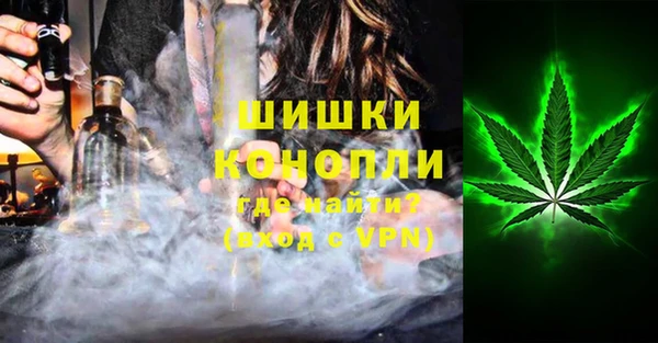 ГАЛЛЮЦИНОГЕННЫЕ ГРИБЫ Богданович