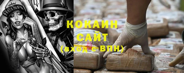 ГАЛЛЮЦИНОГЕННЫЕ ГРИБЫ Богданович