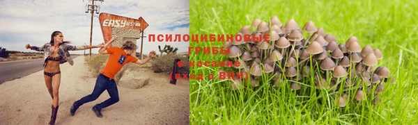 прущая мука Богородицк